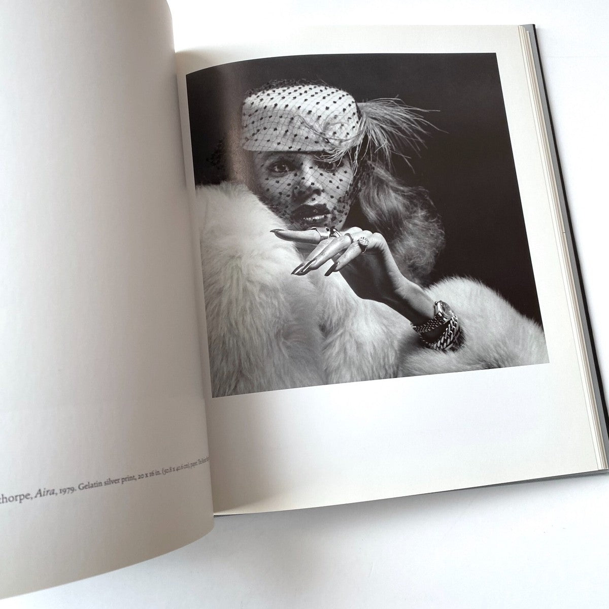 Patricia Hickson / Warhol & Mapplethorpe : guise & dolls