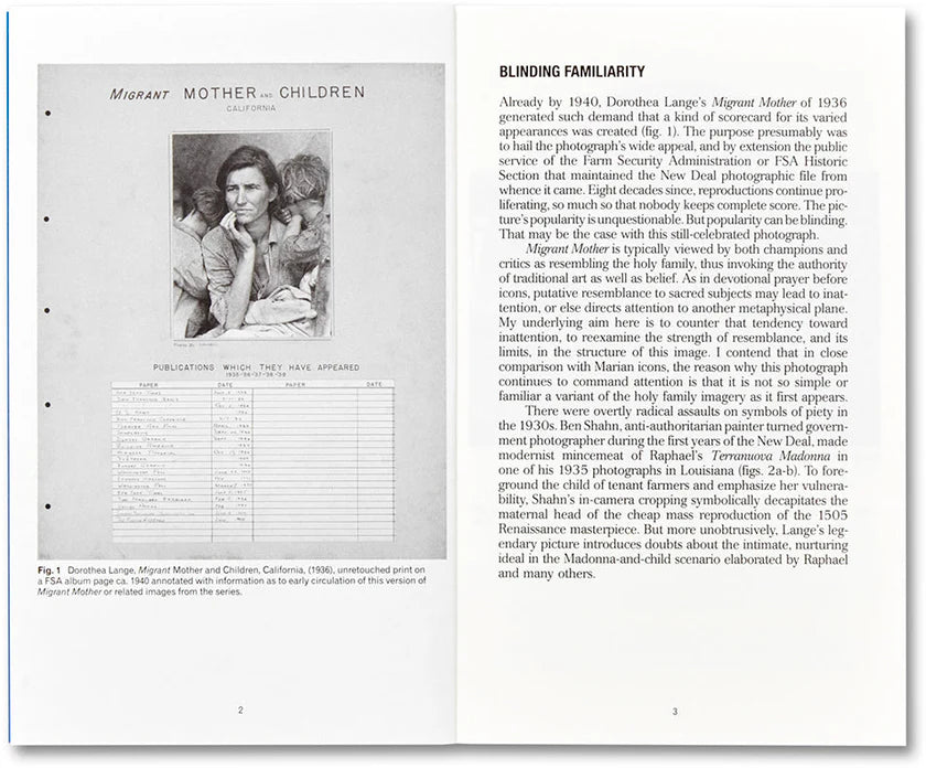 Sally Stein / Migrant Mother, Migrant Gender