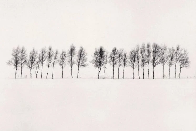 Michael Kenna / Forms of Japan