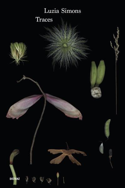 Luzia Simons / Traces