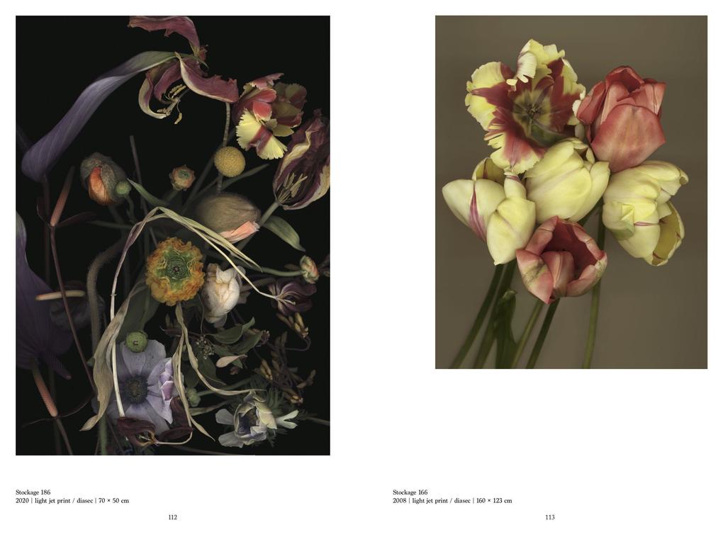 Luzia Simons / Traces