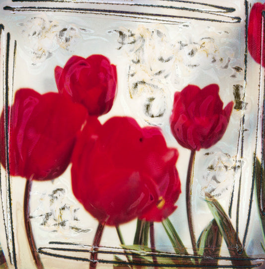 EURO ROTELLI - Tulips #7
