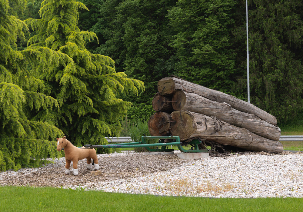 Jaka Babnik, Miha Colner / Najboljša lokacija