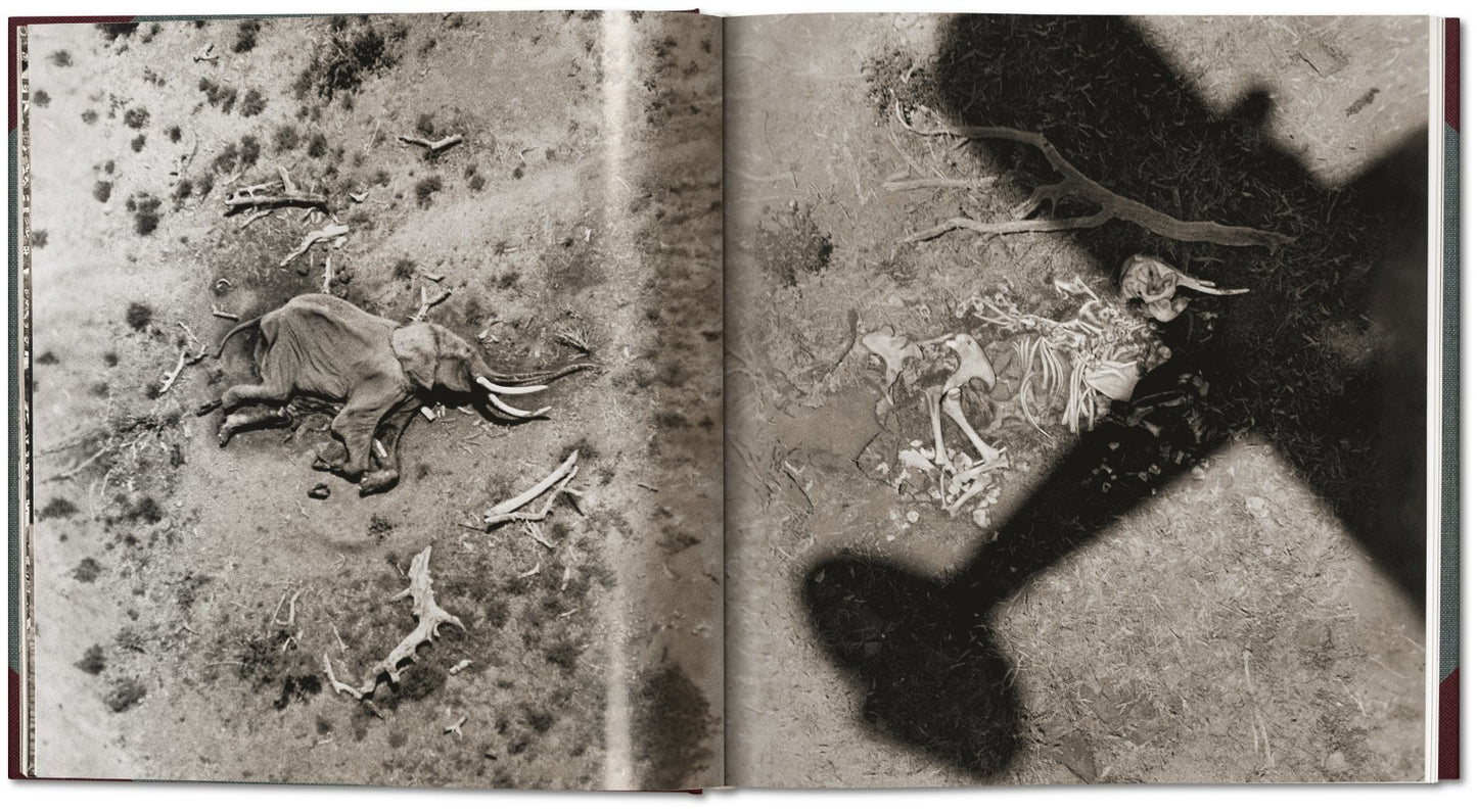 Peter Beard / The End of the Game