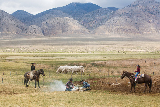 Karoliina Paatos / American Cowboy