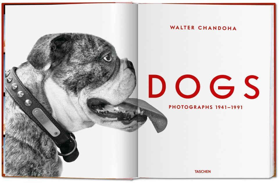 Walter Chandoha / Dogs. Photographs 1941–1991