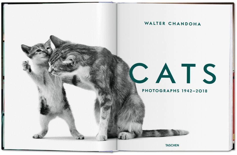 Walter Chandoha / Mačke. Fotografije 1942–2018