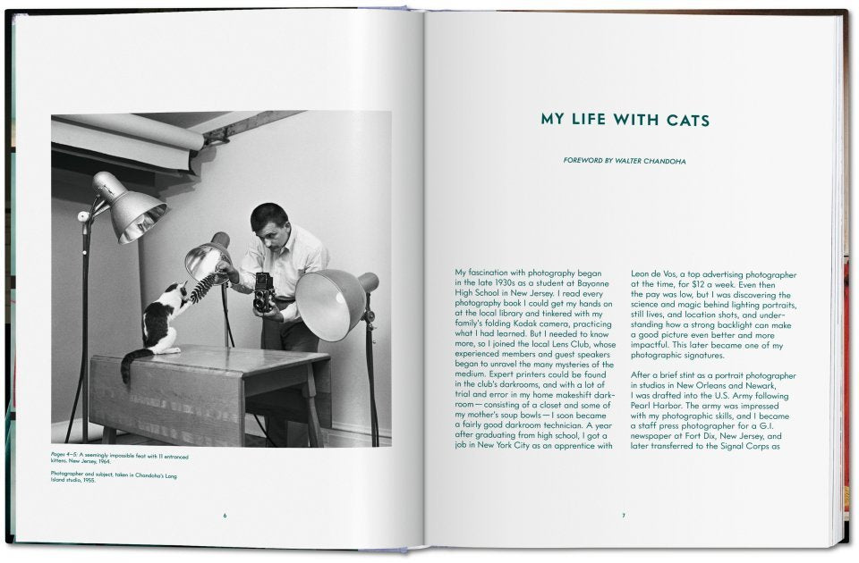 Walter Chandoha / Cats. Photographs 1942–2018